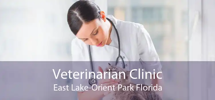 Veterinarian Clinic East Lake-Orient Park Florida