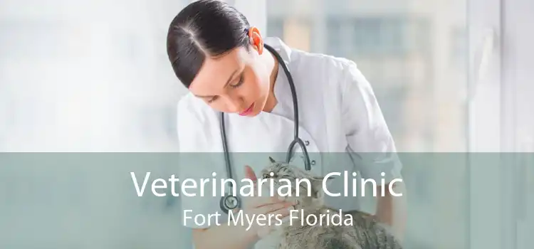 Veterinarian Clinic Fort Myers Florida
