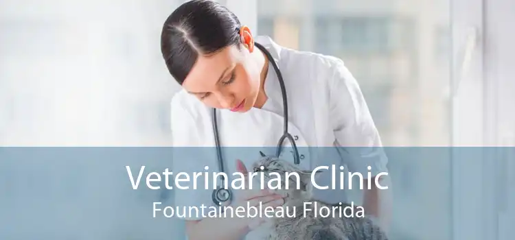 Veterinarian Clinic Fountainebleau Florida