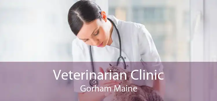 Veterinarian Clinic Gorham Maine