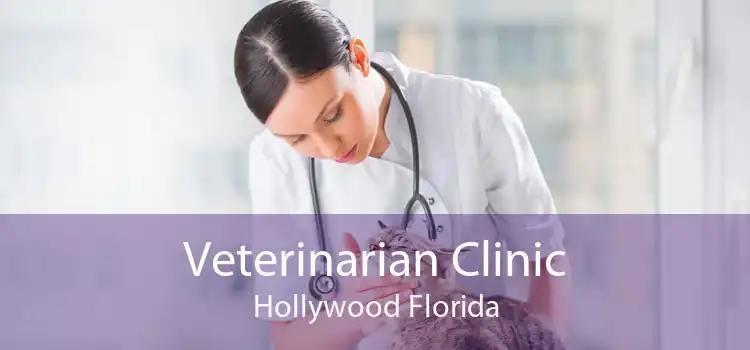 Veterinarian Clinic Hollywood Florida