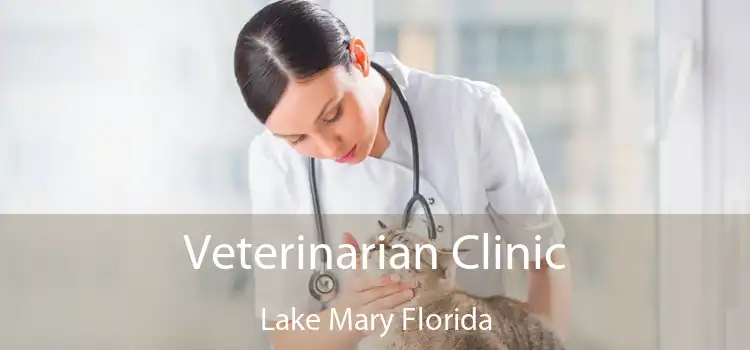 Veterinarian Clinic Lake Mary Florida