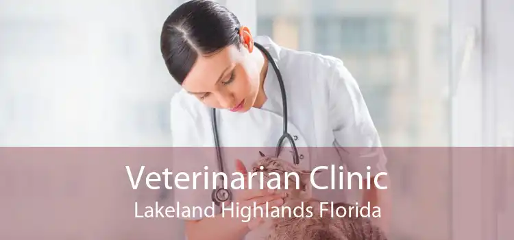 Veterinarian Clinic Lakeland Highlands Florida