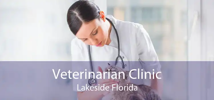 Veterinarian Clinic Lakeside Florida