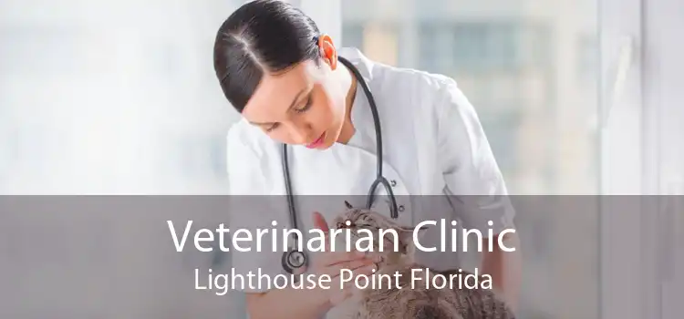 Veterinarian Clinic Lighthouse Point Florida