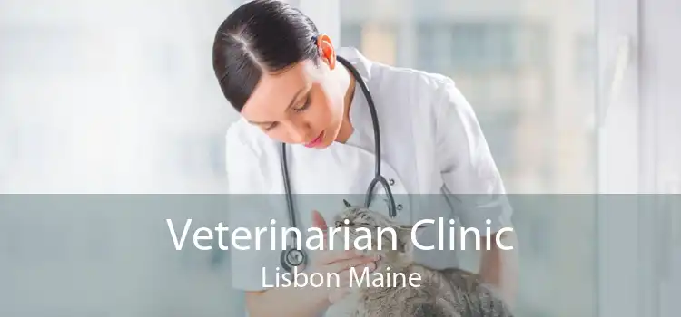 Veterinarian Clinic Lisbon Maine