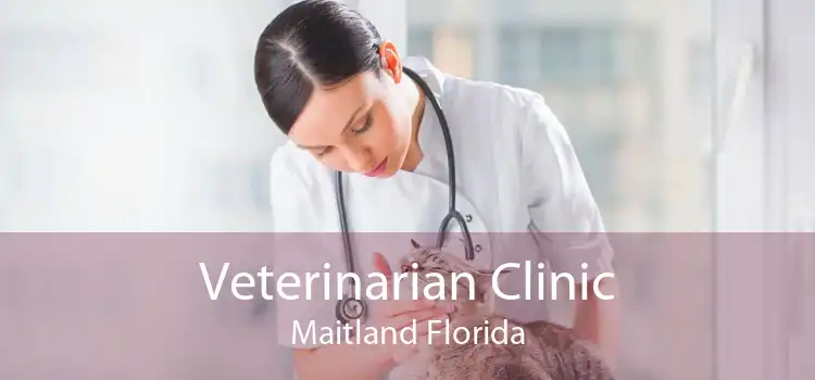 Veterinarian Clinic Maitland Florida