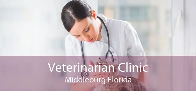 Veterinarian Clinic Middleburg Florida