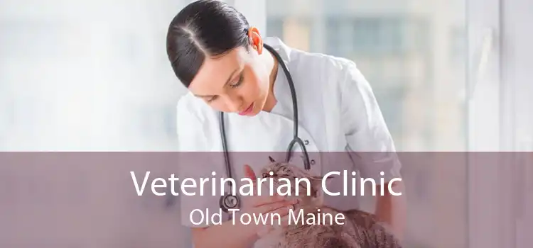 Veterinarian Clinic Old Town Maine