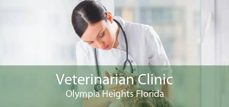 Veterinarian Clinic Olympia Heights Florida