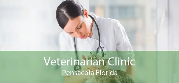 Veterinarian Clinic Pensacola Florida
