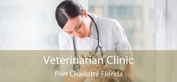 Veterinarian Clinic Port Charlotte Florida