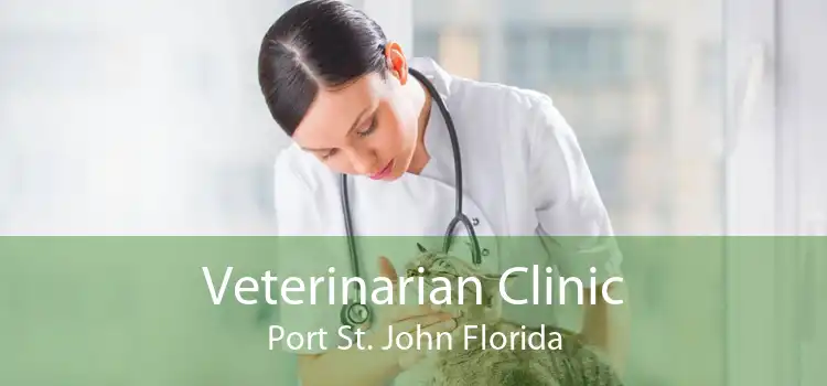 Veterinarian Clinic Port St. John Florida