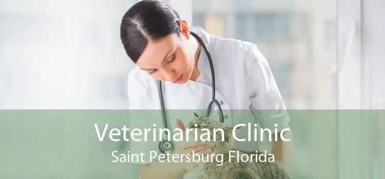 Veterinarian Clinic Saint Petersburg Florida