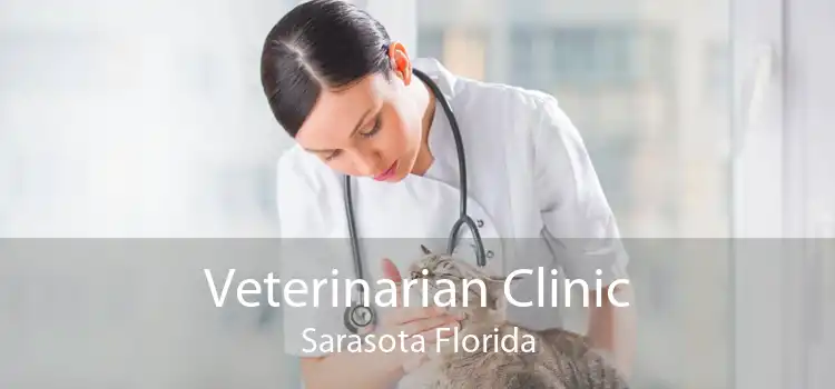 Veterinarian Clinic Sarasota Florida