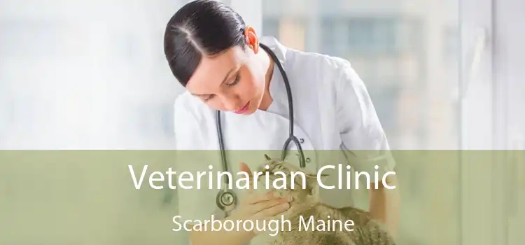 Veterinarian Clinic Scarborough Maine