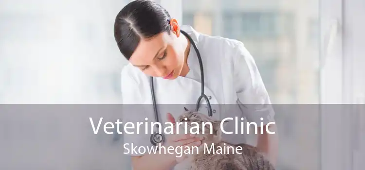 Veterinarian Clinic Skowhegan Maine