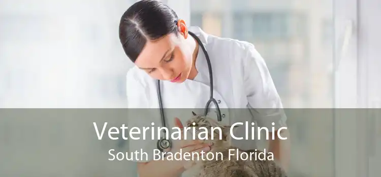 Veterinarian Clinic South Bradenton Florida