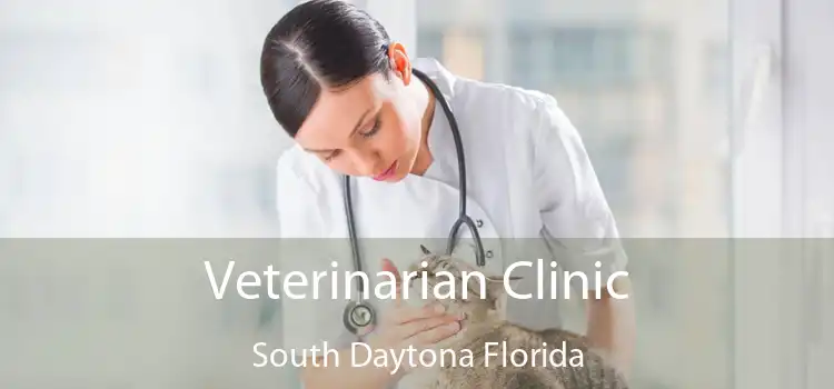 Veterinarian Clinic South Daytona Florida