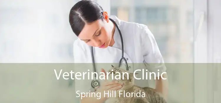 Veterinarian Clinic Spring Hill Florida