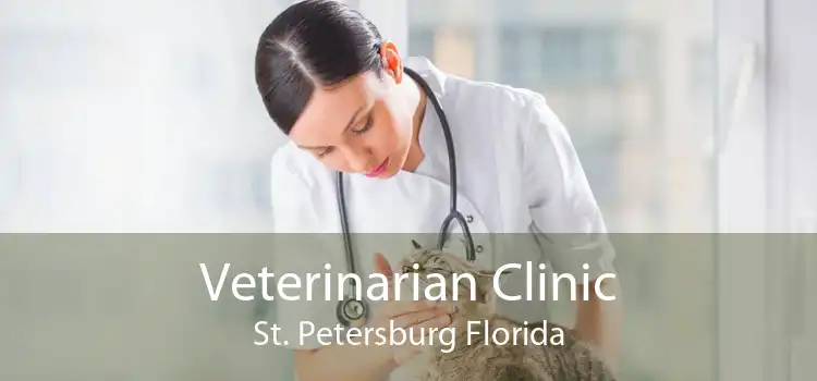 Veterinarian Clinic St. Petersburg Florida