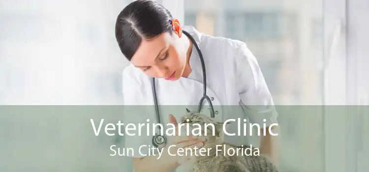Veterinarian Clinic Sun City Center Florida