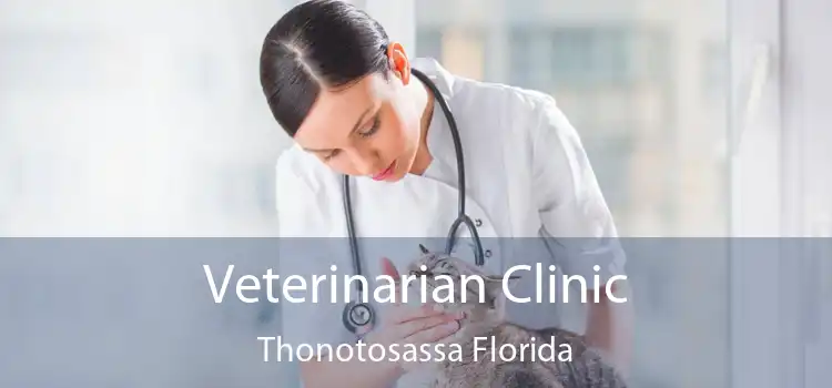 Veterinarian Clinic Thonotosassa Florida