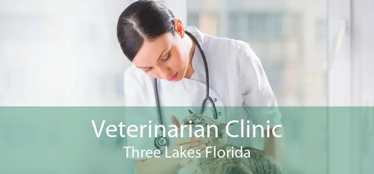 Veterinarian Clinic Three Lakes Florida