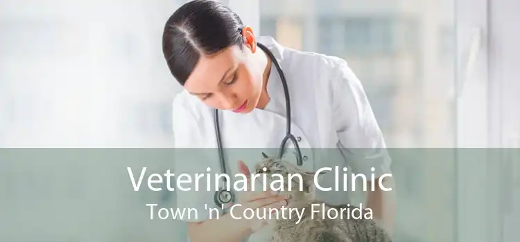 Veterinarian Clinic Town 'n' Country Florida