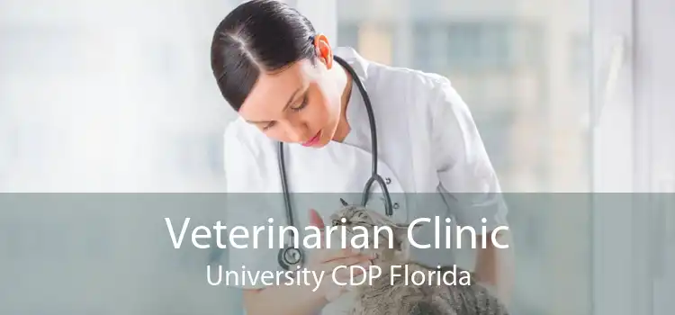 Veterinarian Clinic University CDP Florida
